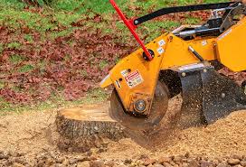 Best Weed Control  in Whidbey Island Station, WA