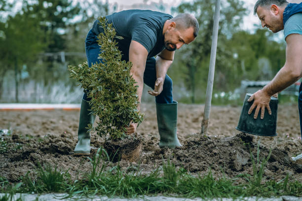 Best Lawn Pest Prevention  in Whidbey Island Station, WA